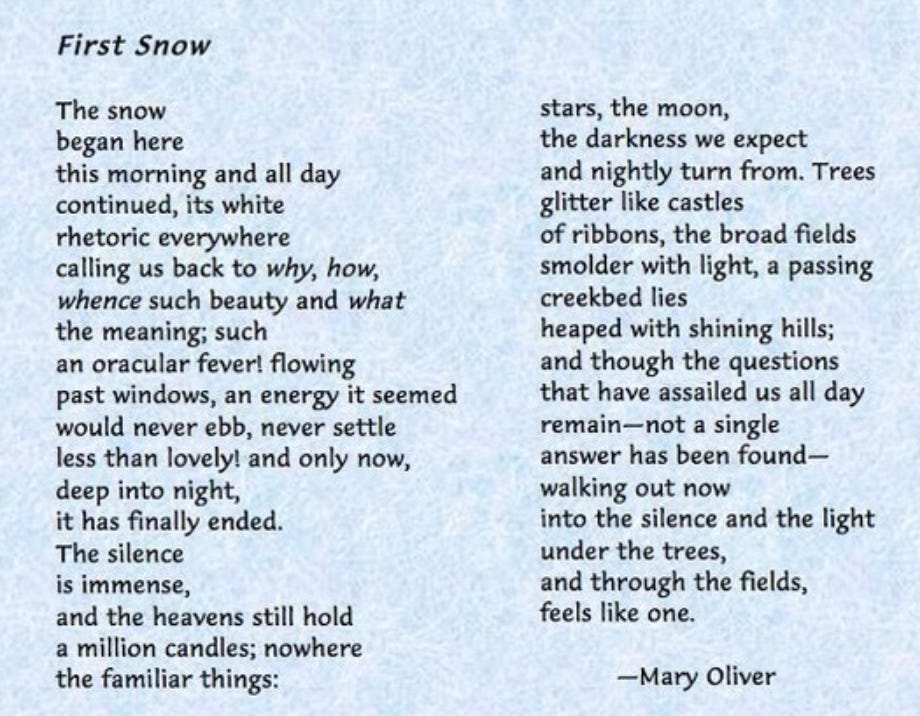 The First Snow of the Season - Tom Ryan, Author