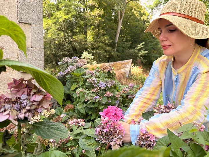 A woman walking through a furnished coach house sitting room; an open cupboard of folded white linens and towels; a woman in a straw hat clipping hydrangeas; a blue-and-white vase of pink and purple hydrangeas.