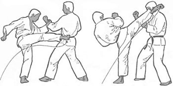 Roundhouse Kick - TV Tropes