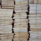 Undocumented: A Brief Survey of Documents Related to Donald Trump That Have Yet To Be Released