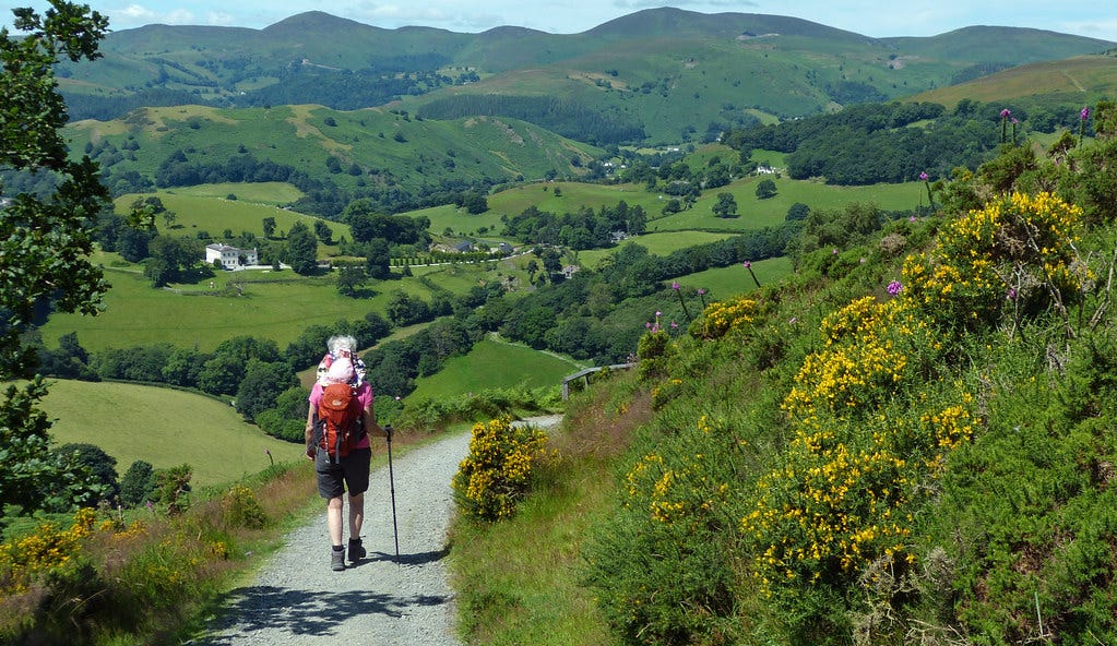 Summer Walking