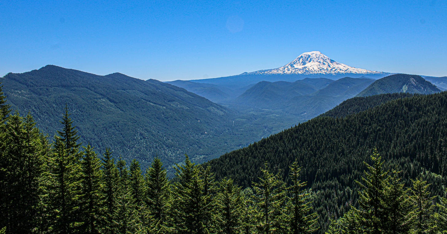 A distant snow-capped mountain rising above layered, forested hills under a clear blue sky, framed by evergreen trees in the foreground.