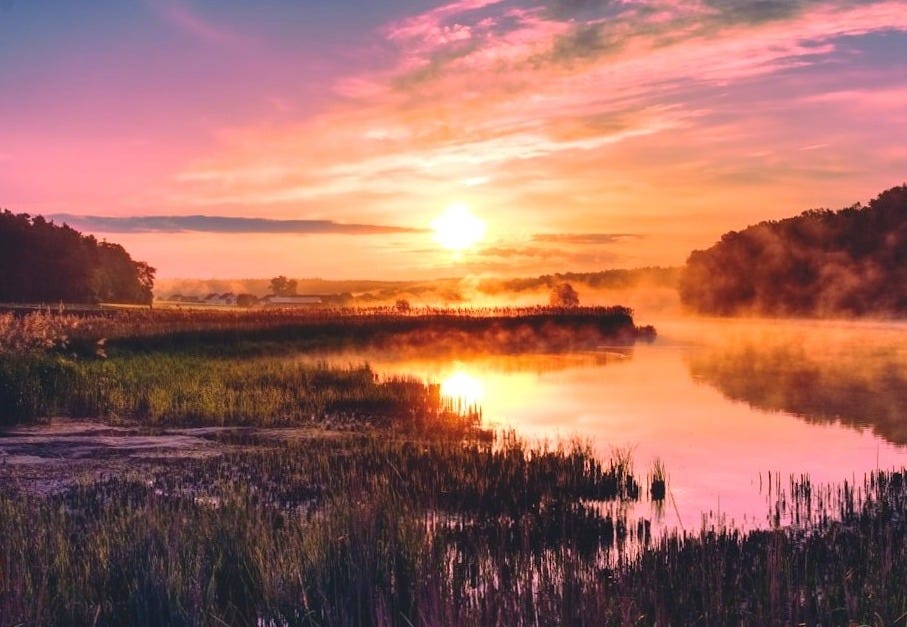 photo of green grass field beside calm body of water during golden hour photo of green grass field beside calm body of water during golden hour