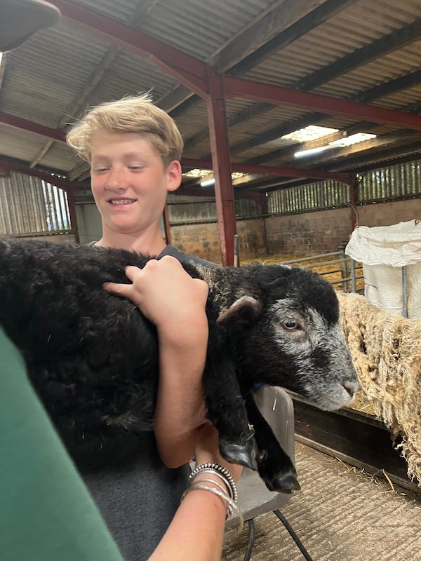 2025-6-21 Hudson holding a lamb at Miller Farm in Lake District England photo by Tanya Briley