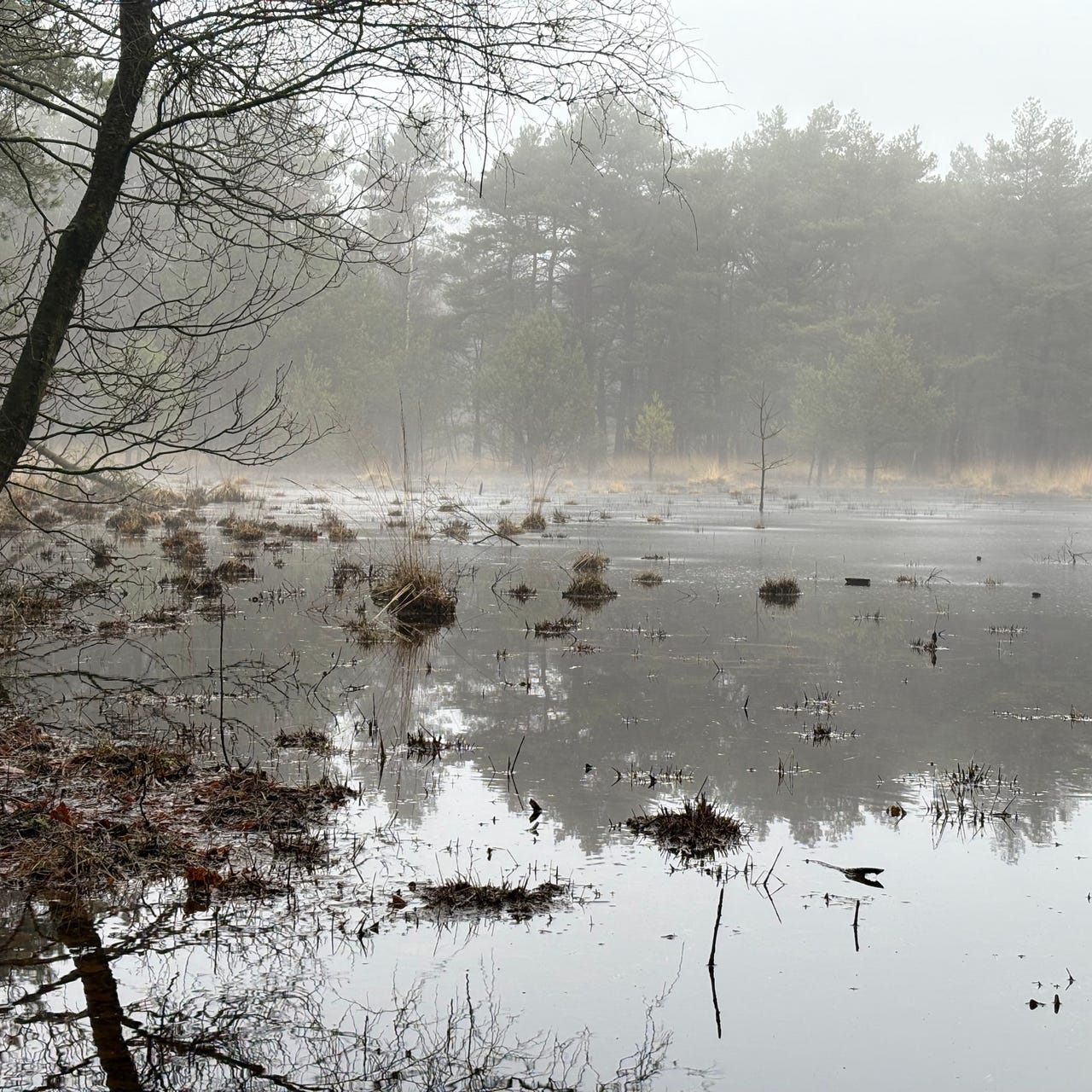 Where the Wind Leads