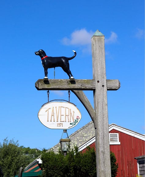 The Black Dog Tavern, Martha's Vineyard