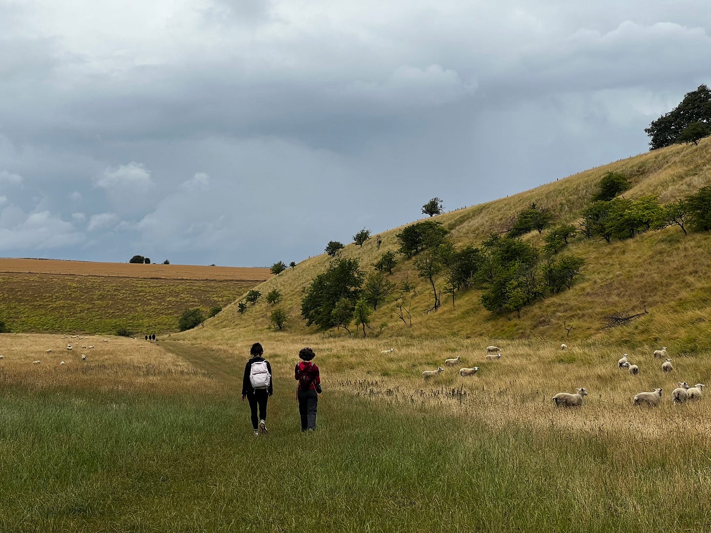 Two figures walking down a grassy path with hills each side, towards their doom