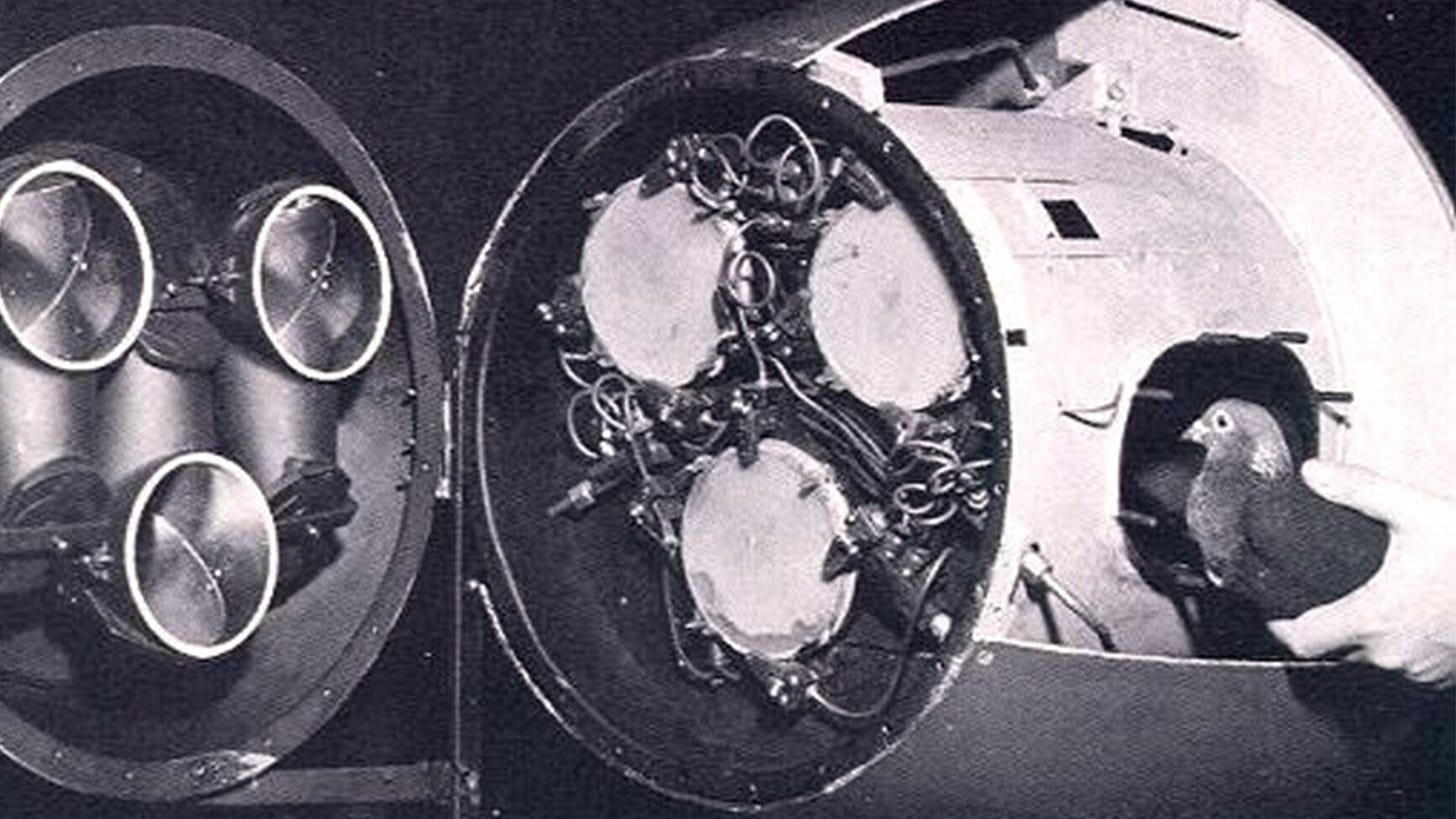 That time the Army tried to make a missile guided by pigeons