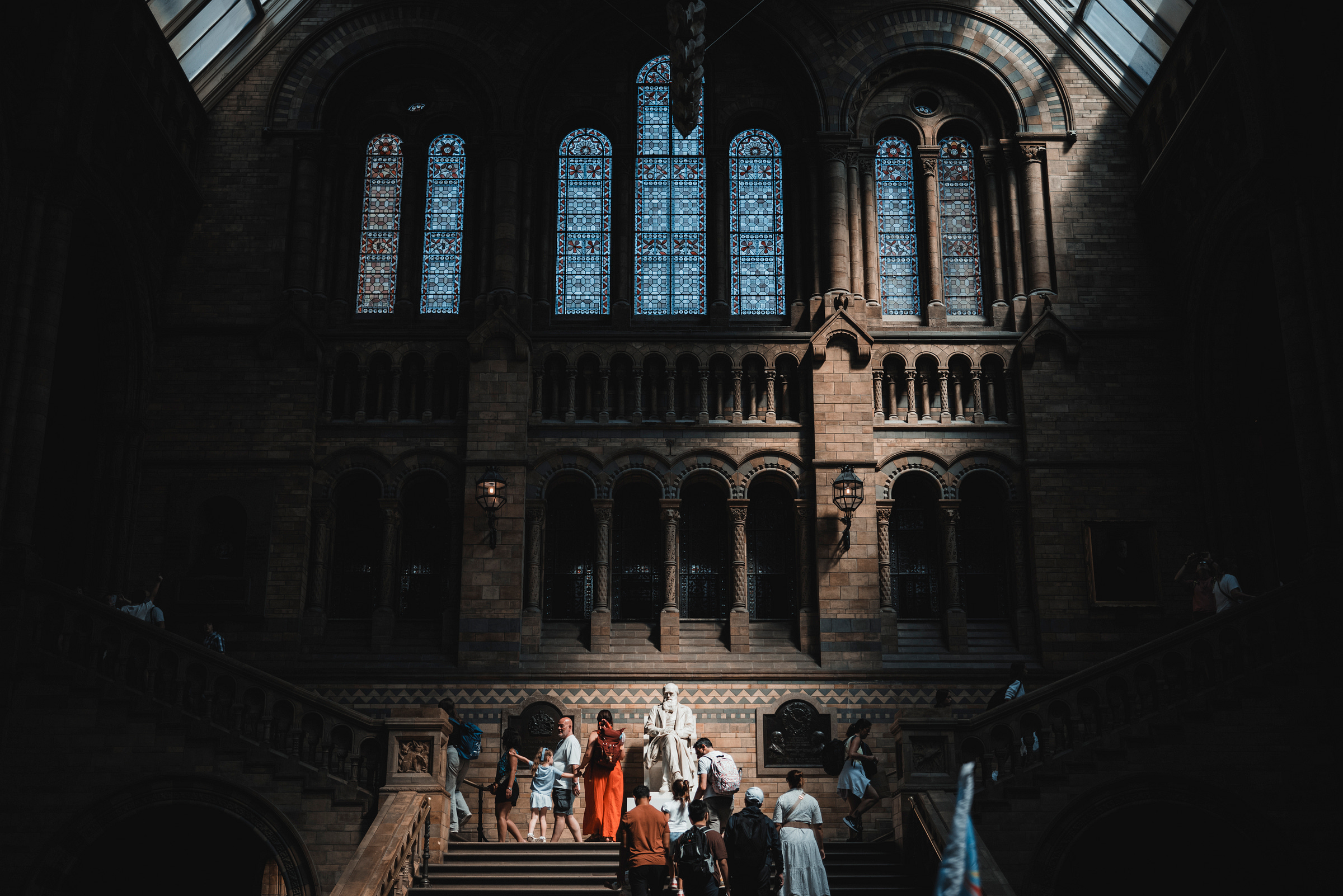 Een beeld van Charles Darwin in het Natural History Museum