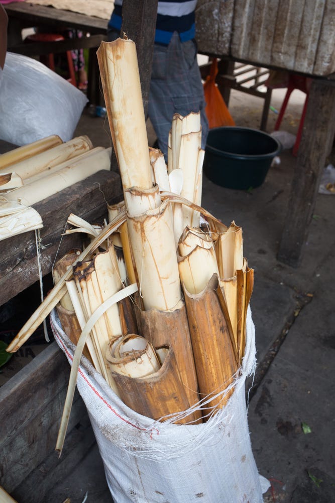 Ribbons of Chonta on left and heart of palms on the right