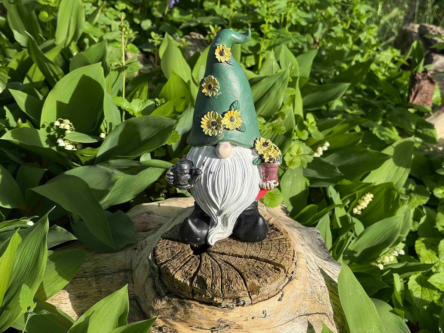A garden gnome with a green hat decorated with yellow flowers stands atop a tree stump, surrounded by vibrant greenery. The gnome has a long white beard, black boots, and holds a small watering can in one hand and a flower pot in the other. Sunlight highlights the lush foliage and the intricate details of the gnome’s features. A garden gnome with a green hat decorated with yellow flowers stands atop a tree stump, surrounded by vibrant greenery. The gnome has a long white beard, black boots, and holds a small watering can in one hand and a flower pot in the other. Sunlight highlights the lush foliage and the intricate details of the gnome’s features.