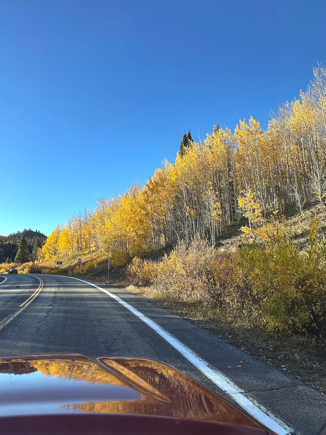 A winding road curves through a scenic landscape lined with tall trees displaying bright yellow autumn foliage under a clear blue sky. The hood of a red car is visible in the foreground.