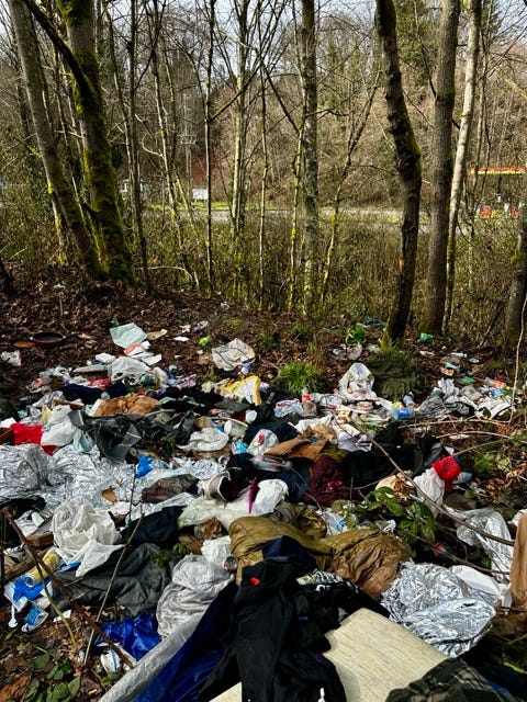 A pile of garbage in the woods

Description automatically generated