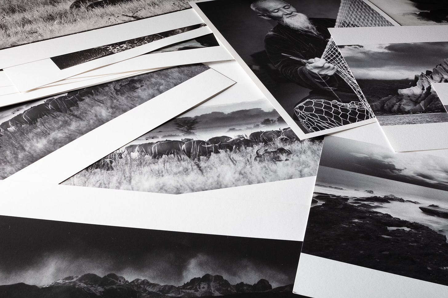 close up photograph using the Canon 45mm TS-E