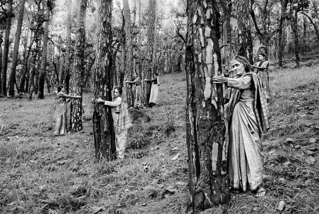 London Exhibition Explores the Link Between Gender and Ecology | Smart  News| Smithsonian Magazine