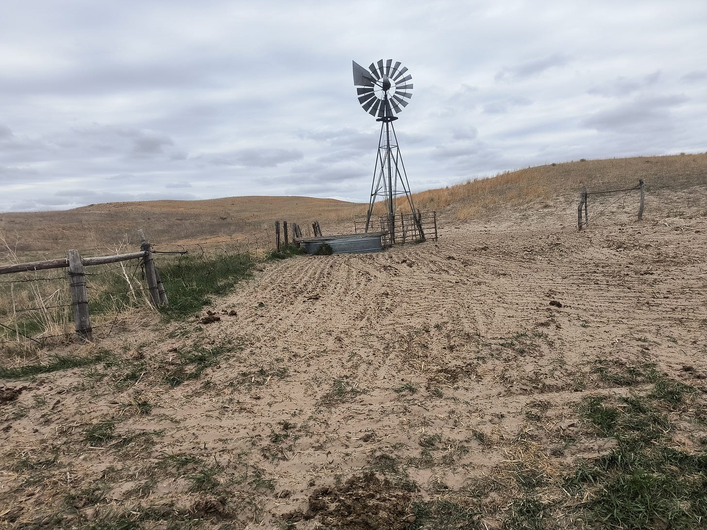 Trent on the Loos April 21, 2026 Matt Blackford from Brownlee takes us back to the very spot we recorded from 1 year ago after the Sandhills fire near Valentine.