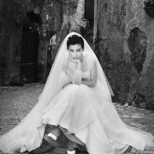 tulip garden in the shed