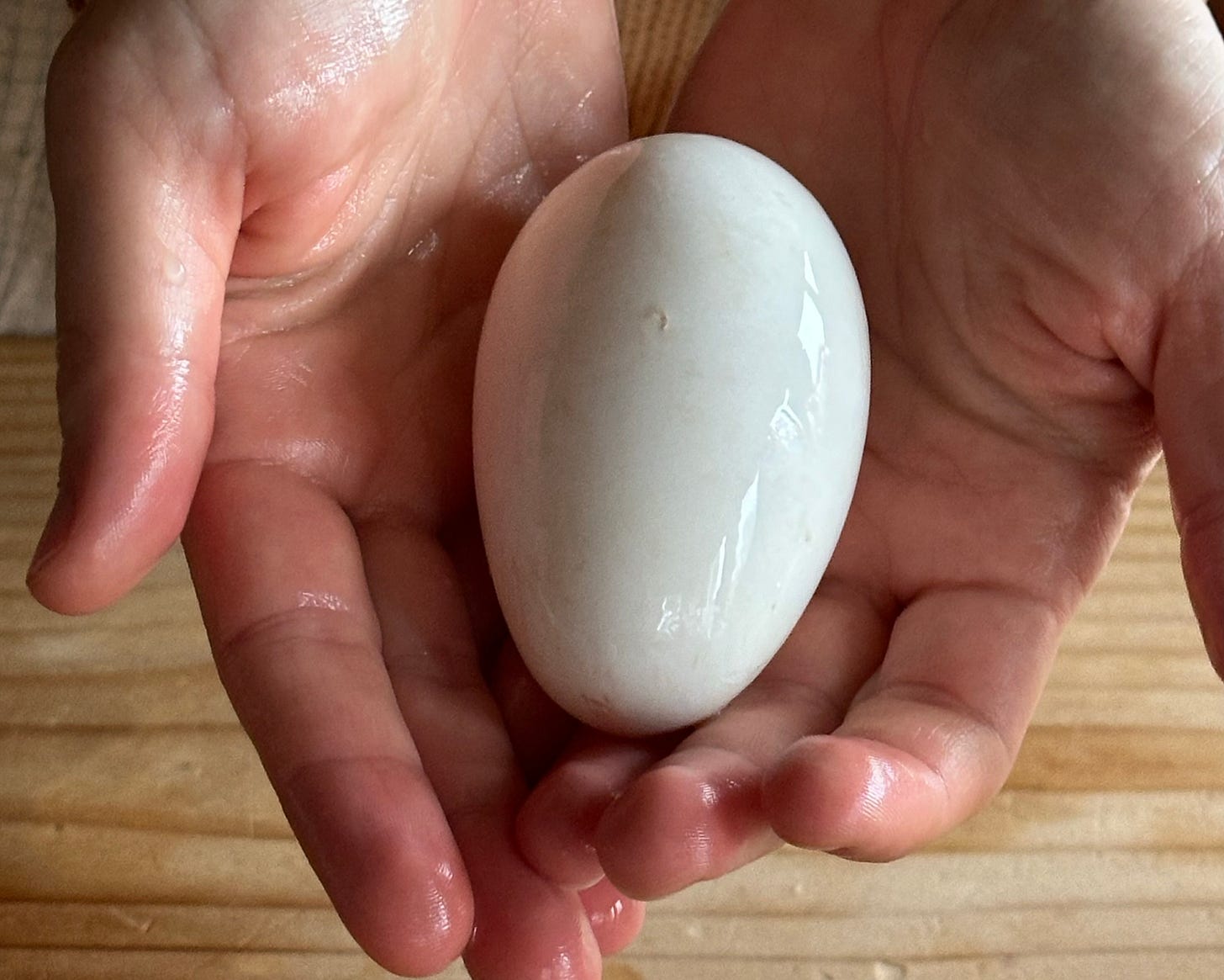 Hands holding goose egg