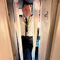 Scott K's avatar
