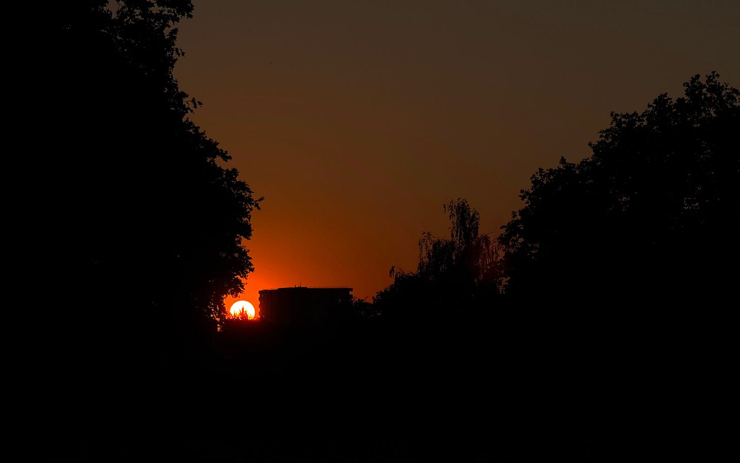 the sun sets and leaves behind a dark orange gradiented sky. Framing the orb of the sun is a silhouetted shape of a tree to the left and a building to the right. the sun sets and leaves behind a dark orange gradiented sky. Framing the orb of the sun is a silhouetted shape of a tree to the left and a building to the right.