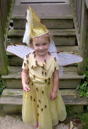 cicada princess
