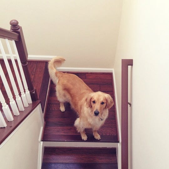stairs