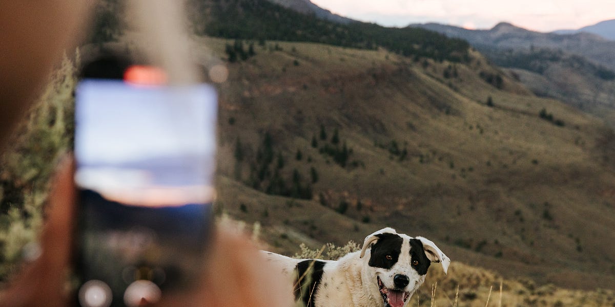 Thumbnail of A New Era of Self-Control