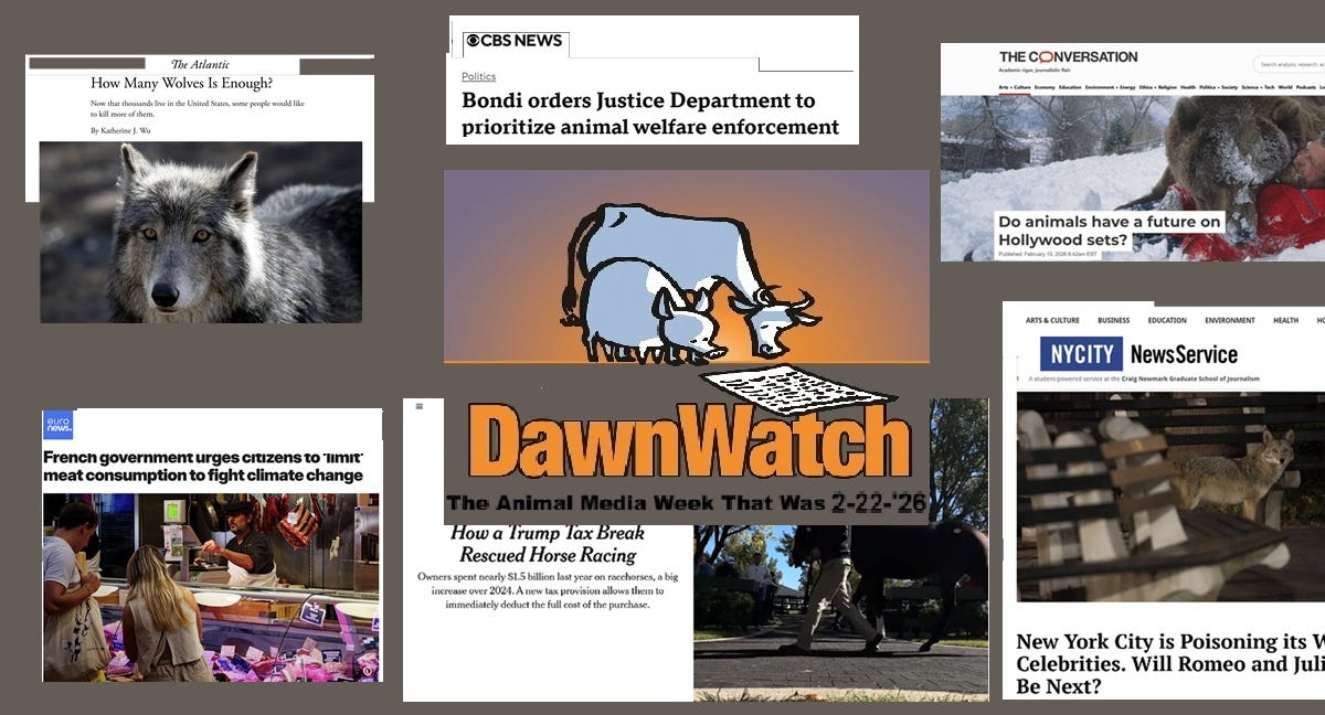 Wildlife, Pets & Diet: Animal News Roundup – February 2024