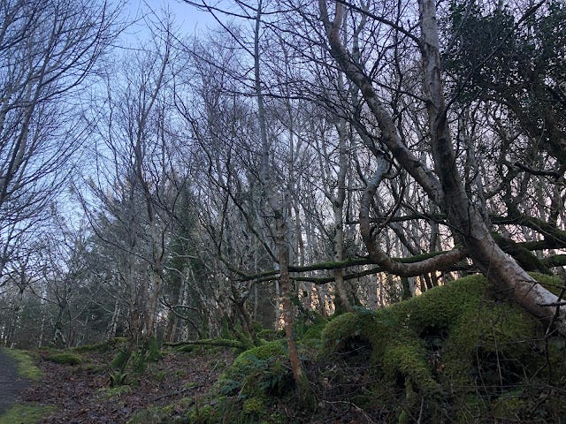 IMG_2218.jpg IMG_2218.jpg