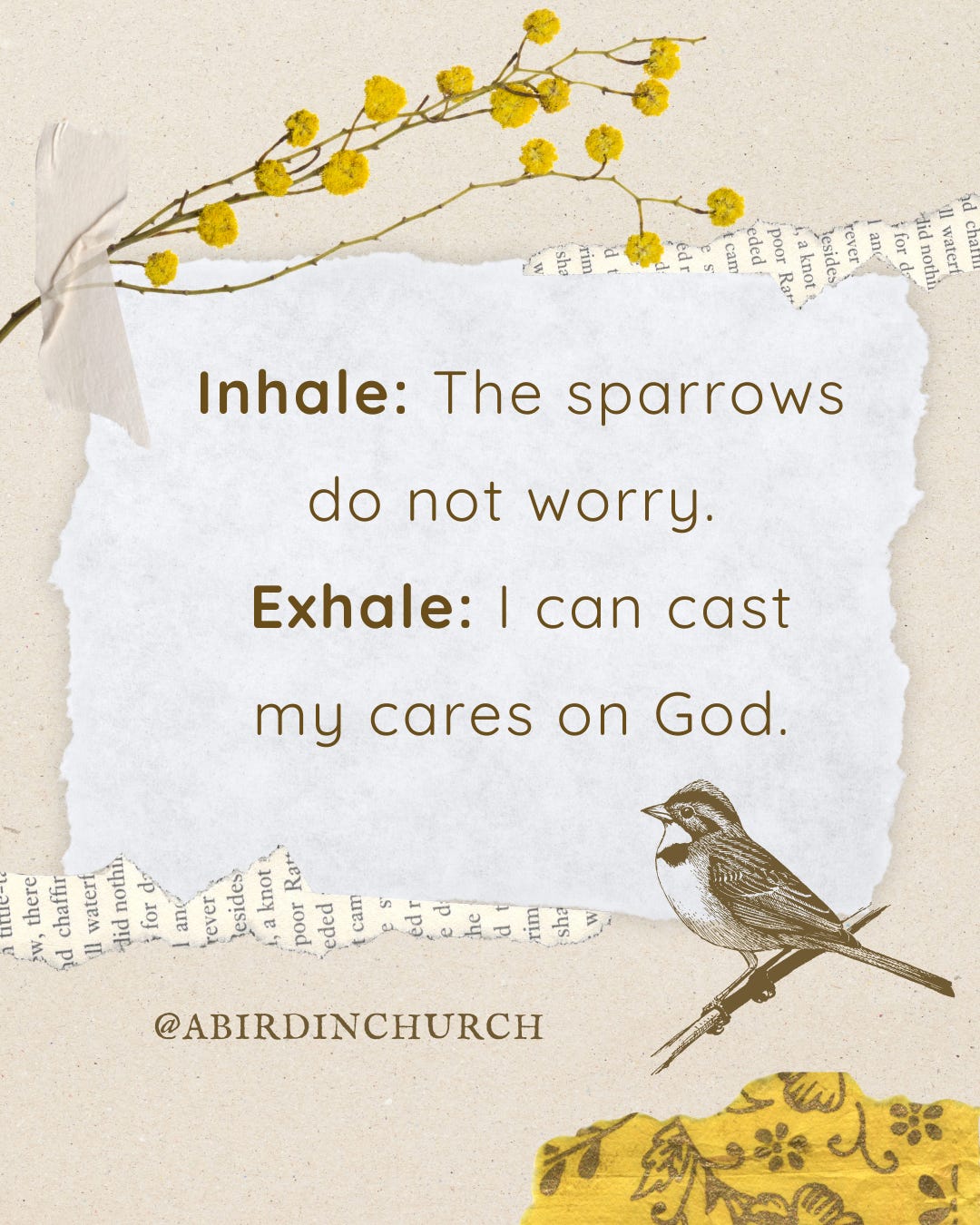A digital collage with a brown bird and flowers. The text reads "Inhale: The sparrows do not worry. Exhale: I can cast my cares on God. @abirdinchurch" A digital collage with a brown bird and flowers. The text reads "Inhale: The sparrows do not worry. Exhale: I can cast my cares on God. @abirdinchurch"