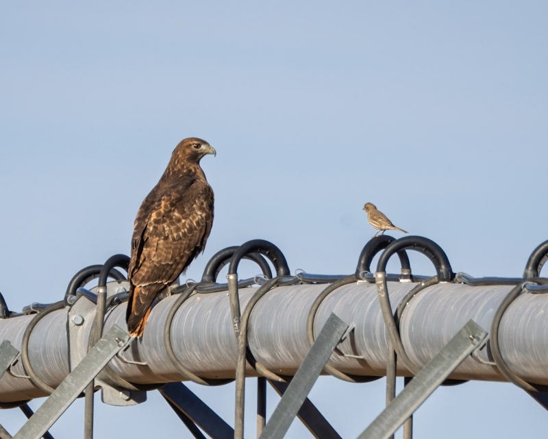 20251116-misc-108-Edit.jpg 20251116-misc-108-Edit.jpg