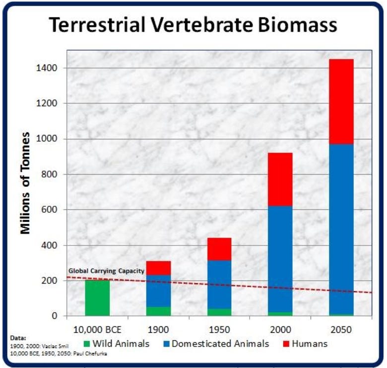 Graph: dominance of humans among terrestrial vertebrates 