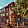 Bed-Stuy Stoop's avatar