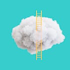 Nose Jobs and Other Necessary Luxuries