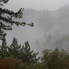 Announcing Our Artist Residency