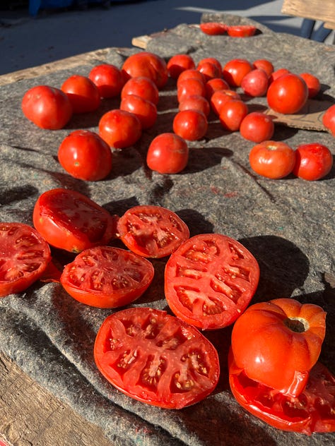 On Saturday, there’s Open Bazaar where you can pick up fresh fruits, cheese, olives, and herbs, plus nice souvlaki stands, or simply for a stroll to experience the chaotic, uplifting market energy.