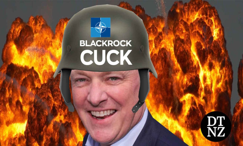'Globalist sell-out' Luxon told to send his own kids to fight in Ukraine following pro-NATO tweets 1 Luxon meetings in USA
