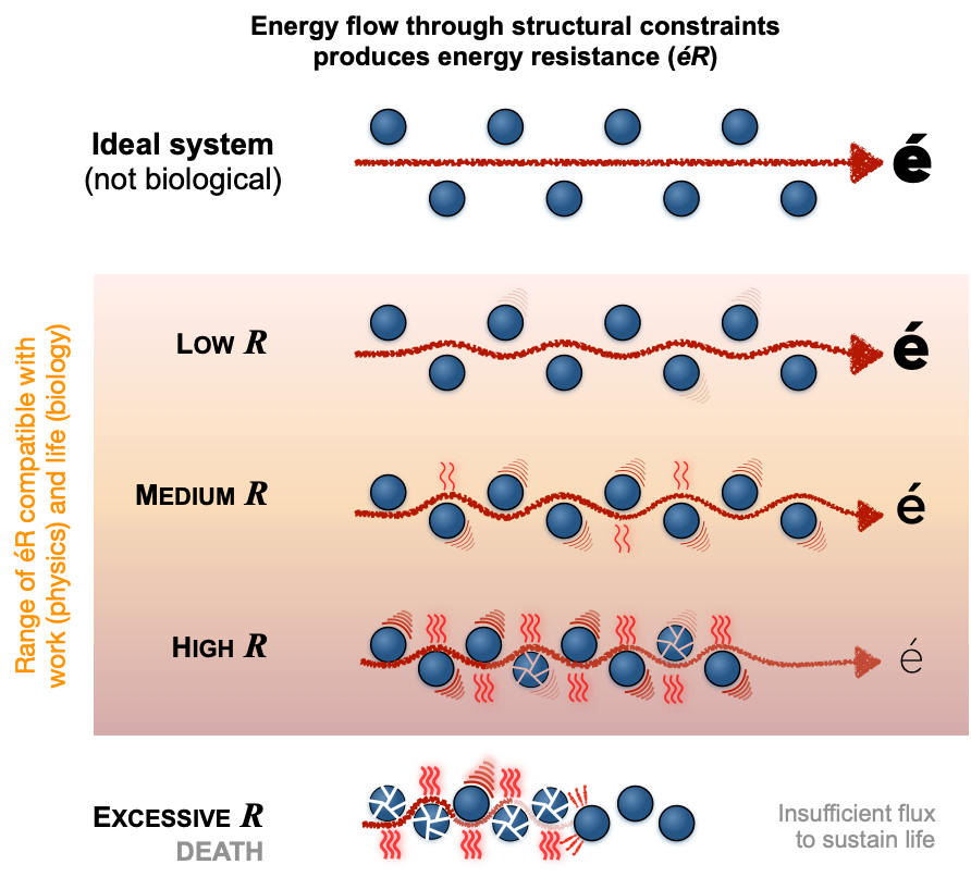 Energy Flow through Structural Constraints