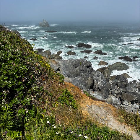 three views of Northern California coastline with rocky ocean shoreline, whitecaps on dark blue water and lush green foliage
