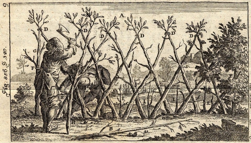 File:Knick oder Gebück nach Krünitz (1779).jpg