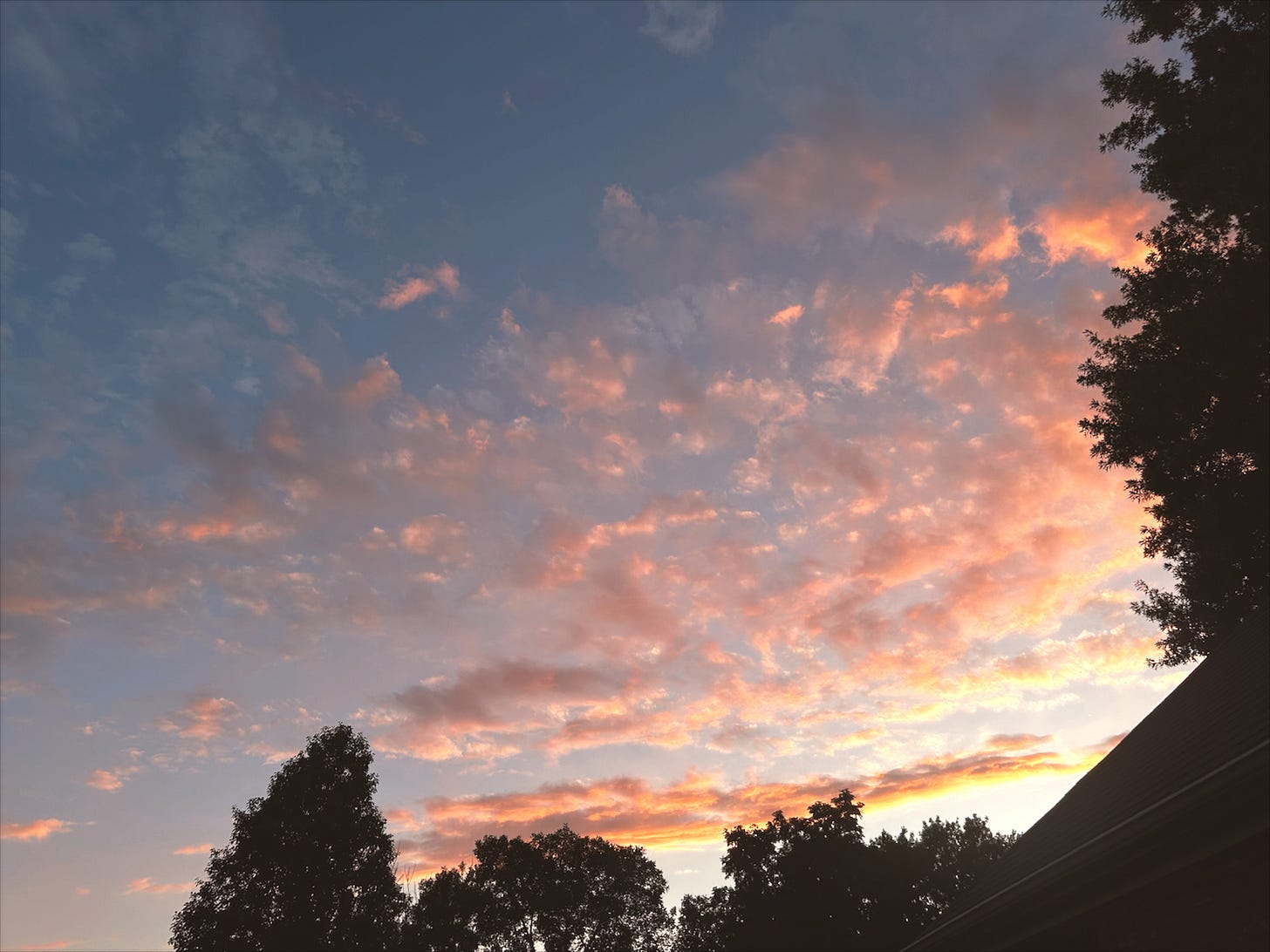 Cotton Candy Sunset