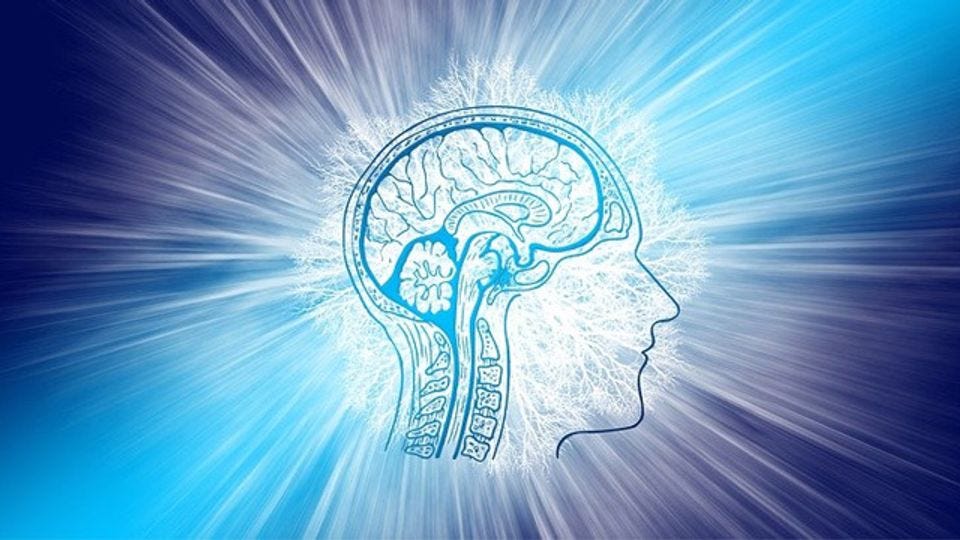 How the Brain Keeps Track of When Memories Occurred | Technology Networks