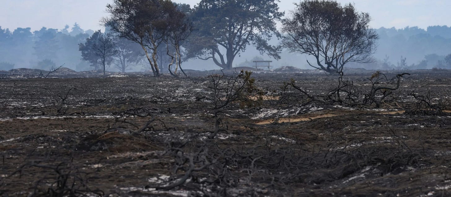 The impact of the Dunwich Heath fire on the landscape The impact of the Dunwich Heath fire on the landscape