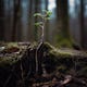 Daily Wonders: Bite-Sized Discoveries