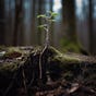 Daily Wonders: Bite-Sized Discoveries