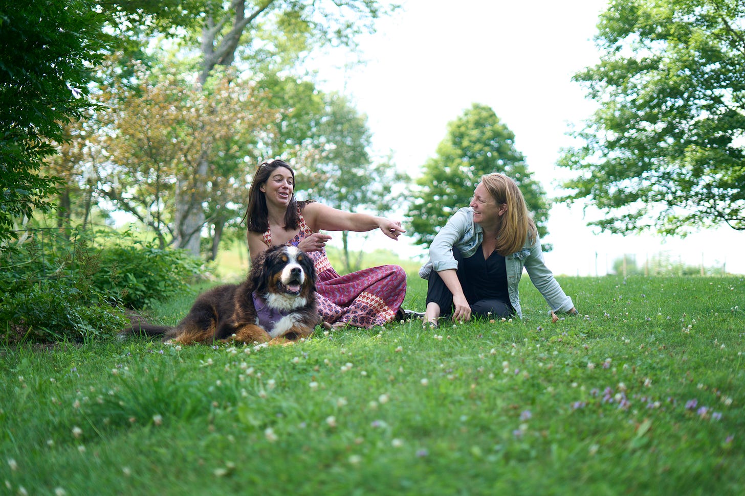 Kate Speer sits in a green field in Vermont on a sunny summer day with her bernesee mountain dog Waffle at her lap. Kate is pointing and laughing, and her partner Amy is smiling and watching her talk. Kate Speer sits in a green field in Vermont on a sunny summer day with her bernesee mountain dog Waffle at her lap. Kate is pointing and laughing, and her partner Amy is smiling and watching her talk.