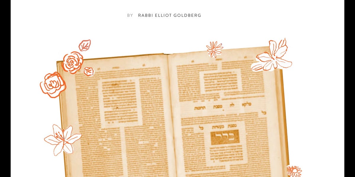 Noahide Laws for Dummies: The 4 W’s 