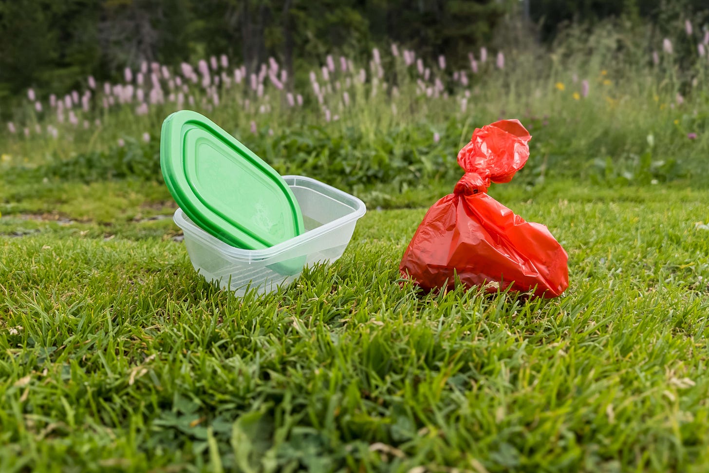 Auf einer Wiese steht eine transparente Plastikdose mit grünem Deckel, daneben ein zugeknoteter roter Hundekotbeutel – die Box dient dazu, den gefüllten Beutel auf Wanderungen sauber und geruchsdicht im Rucksack zu transportieren. Auf einer Wiese steht eine transparente Plastikdose mit grünem Deckel, daneben ein zugeknoteter roter Hundekotbeutel – die Box dient dazu, den gefüllten Beutel auf Wanderungen sauber und geruchsdicht im Rucksack zu transportieren.