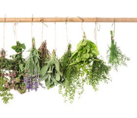 Why Herbs Are So Important…