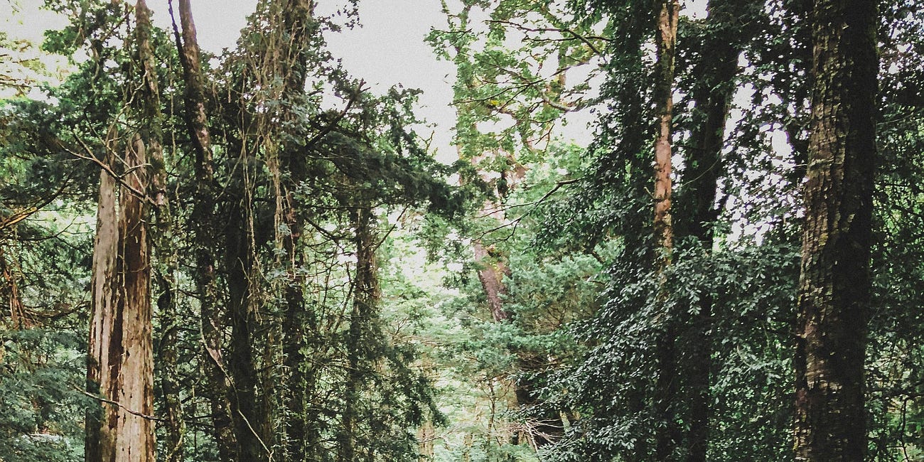 Planning Your Life the Way Nature Works